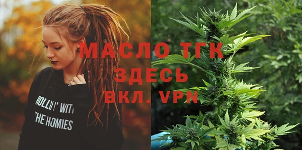 крисы Абаза