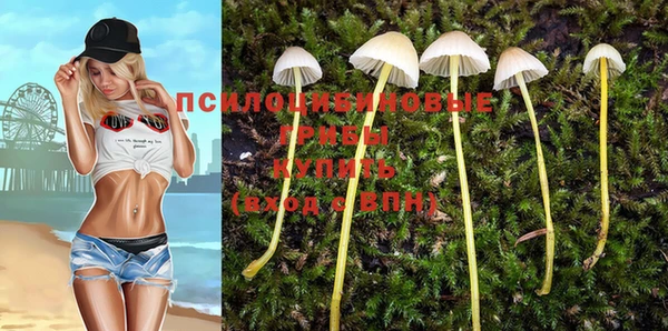 крисы Абаза